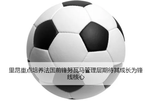 img_1784035538558_284_1_120.jpg